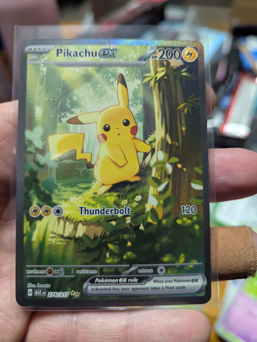 Red Panda Mining tweet media