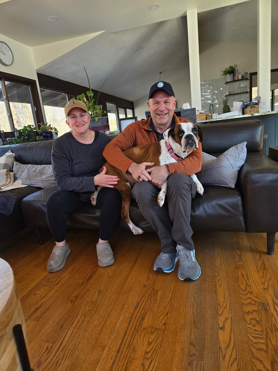 Adopt A Boxer tweet media