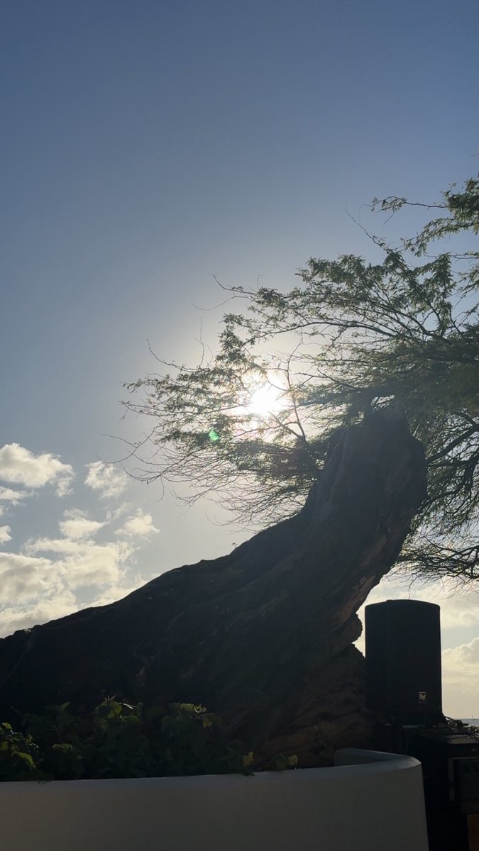 Skipper Jones tweet media