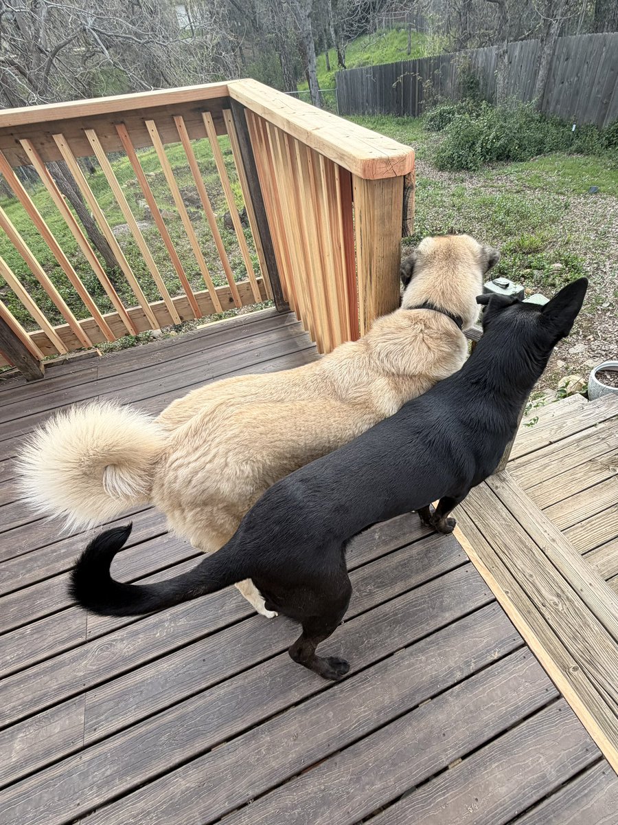 Oatmeal 🥣 tweet media