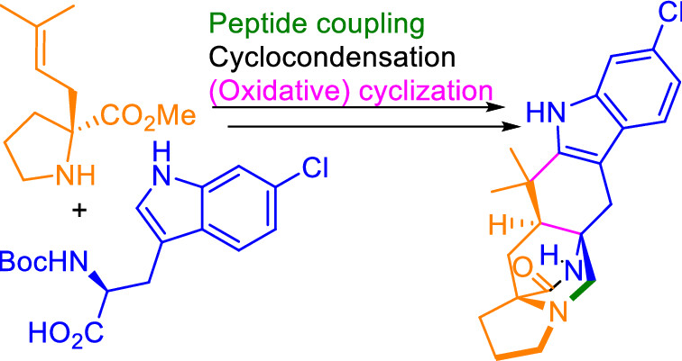 Total Synthesis tweet media