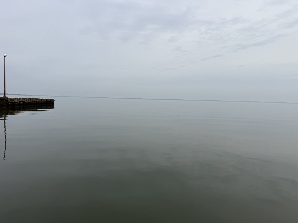 medakaspl's tweet photo. バスを求めて🎣夜明けから土浦💨阿見💨美浦🚙💨とランガン！
チーン😭 https://t.co/MPiu4jeCSz
