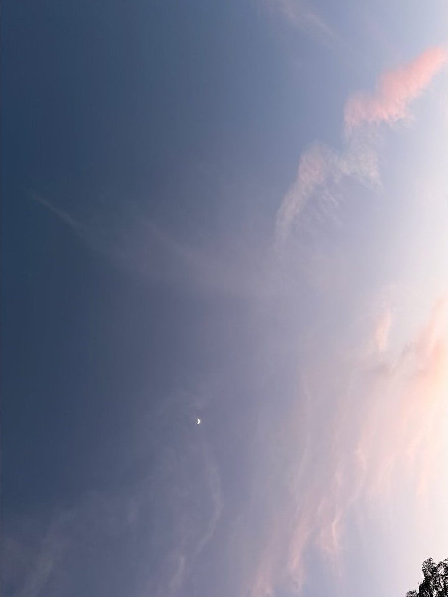 🌙