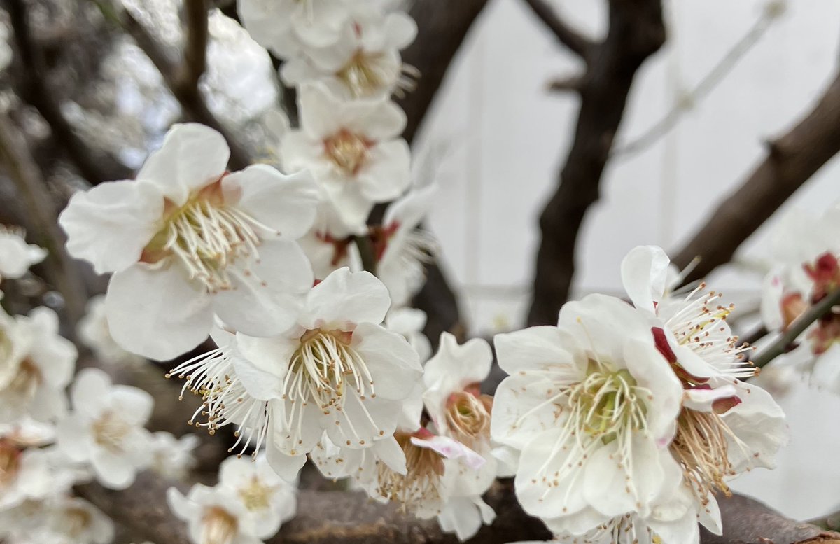 gab (@gabgab0801) on Twitter photo 