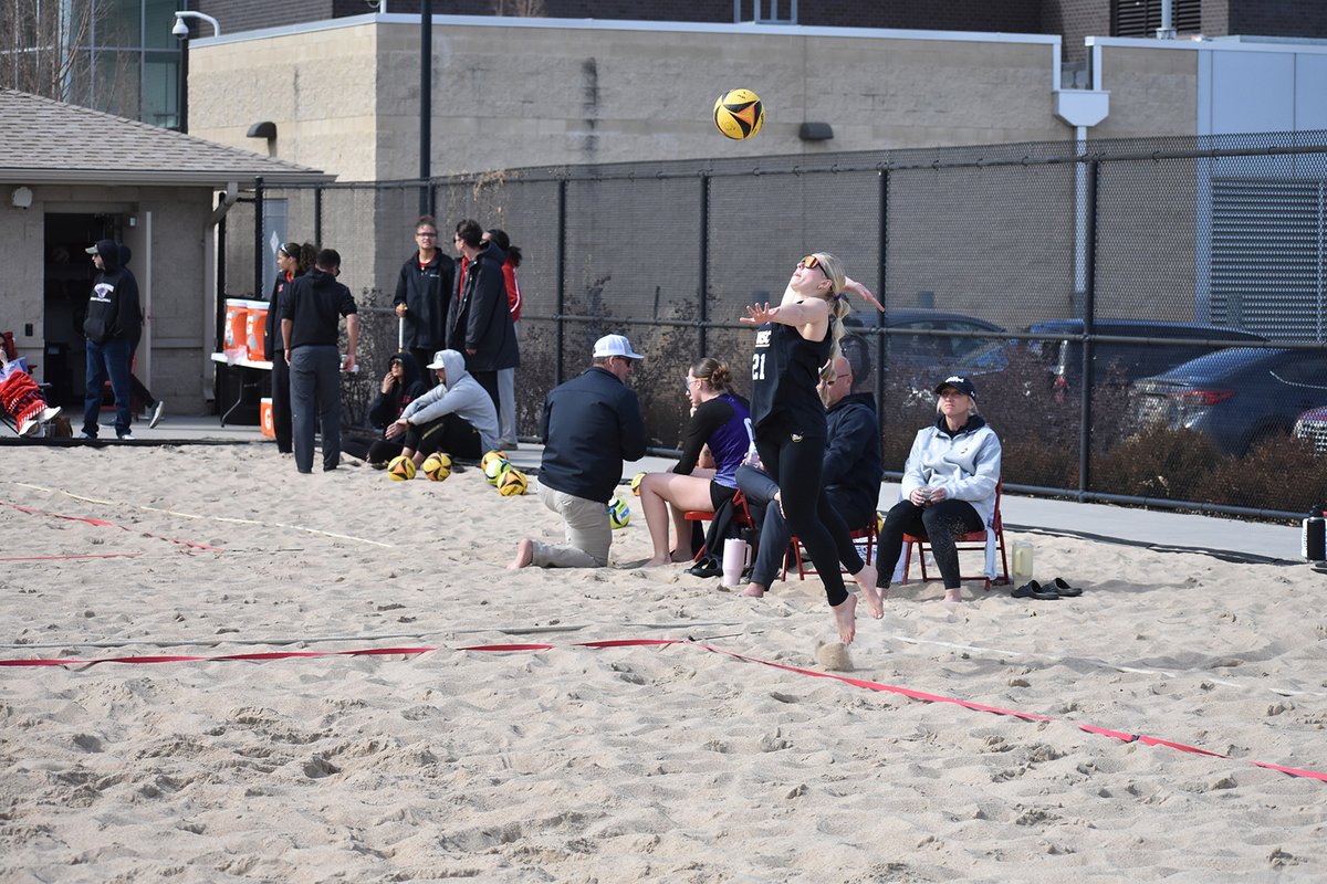 Wayne State Wildcats tweet media