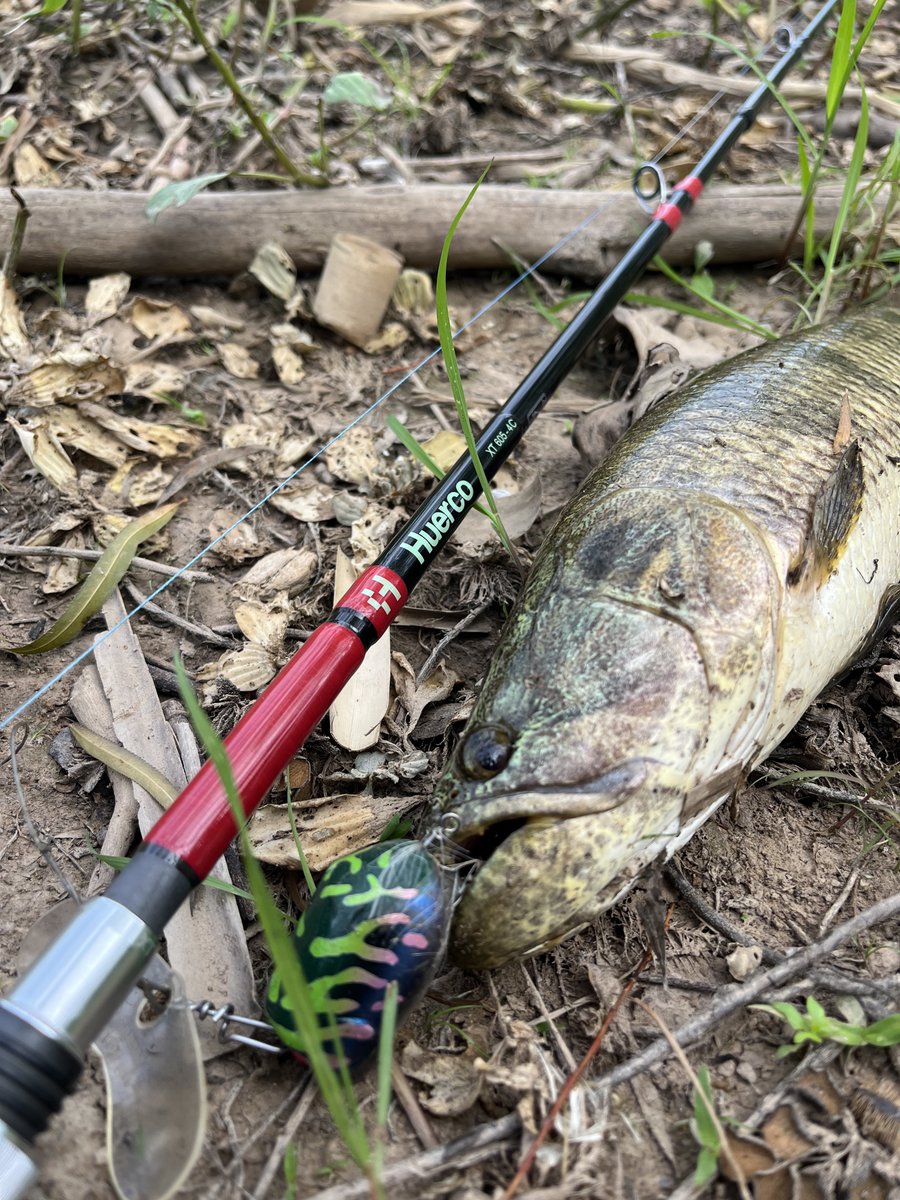 ガイドのイチオシタライーラポイント
無限に釣れる🎣
ガイドはえらくバトラクスが気になるみたお
#huercojp
#monsterkiss