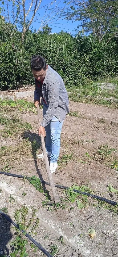 ujcholguincuba's tweet photo. Cuando un joven hace productivas sus manos, está cosechando independencia. 🌱 En cada parcela hay una trinchera. 

Sigamos trabajando #unidos, innovando en cada #cosecha y convirtiendo cada pedazo de tierra en un ejemplo de lo que somos capaces de hacer. 💪

✍️ Elisbel Durán https://t.co/qtHWVc2G4w