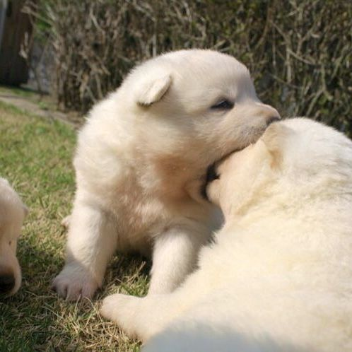 iim so hungry i could eat a YOU!!!