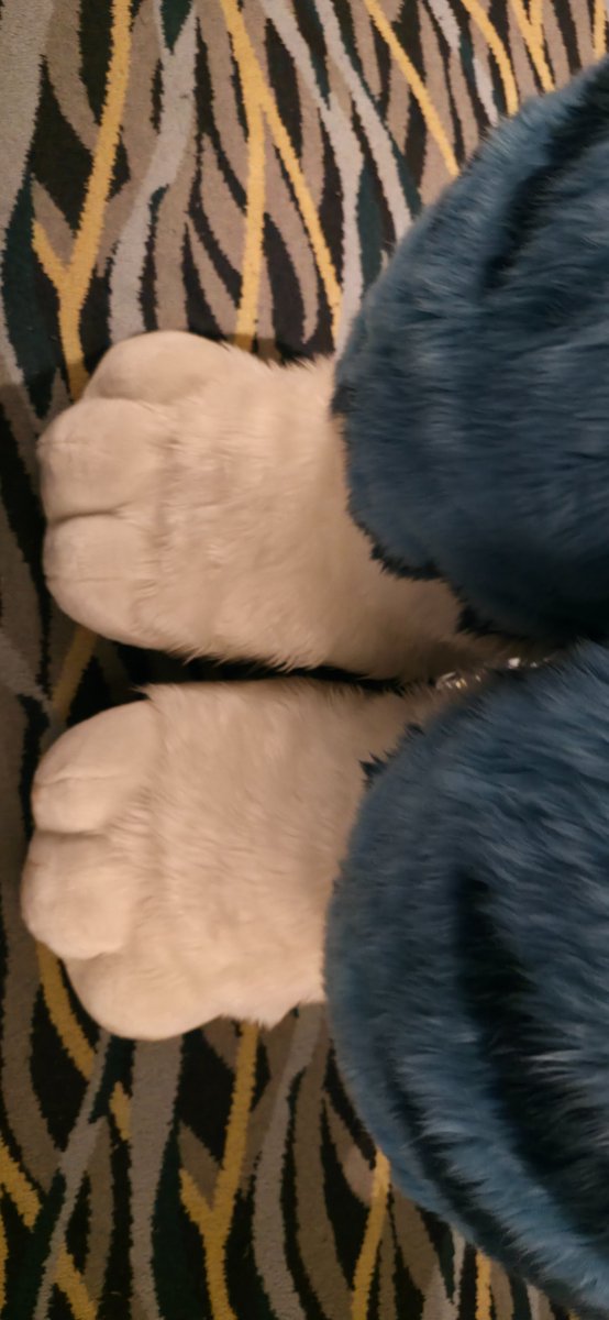 I am Pi ➡️ lifc2026 tweet media