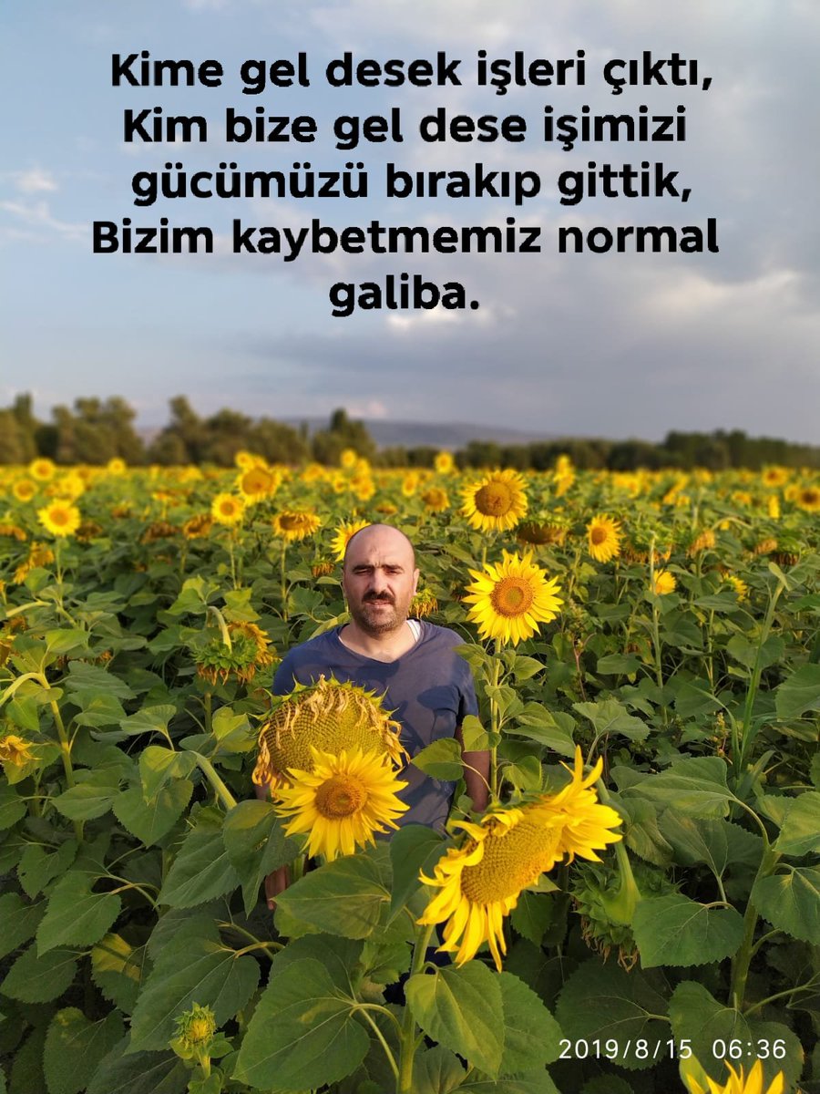yusufkavlak's tweet photo. https://t.co/PE5shSDkDY