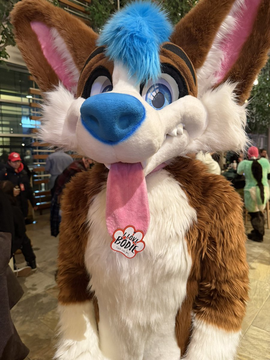 _bodieblue's tweet photo. ilovebodie

#fursuitfriday https://t.co/XQDAtSq7so