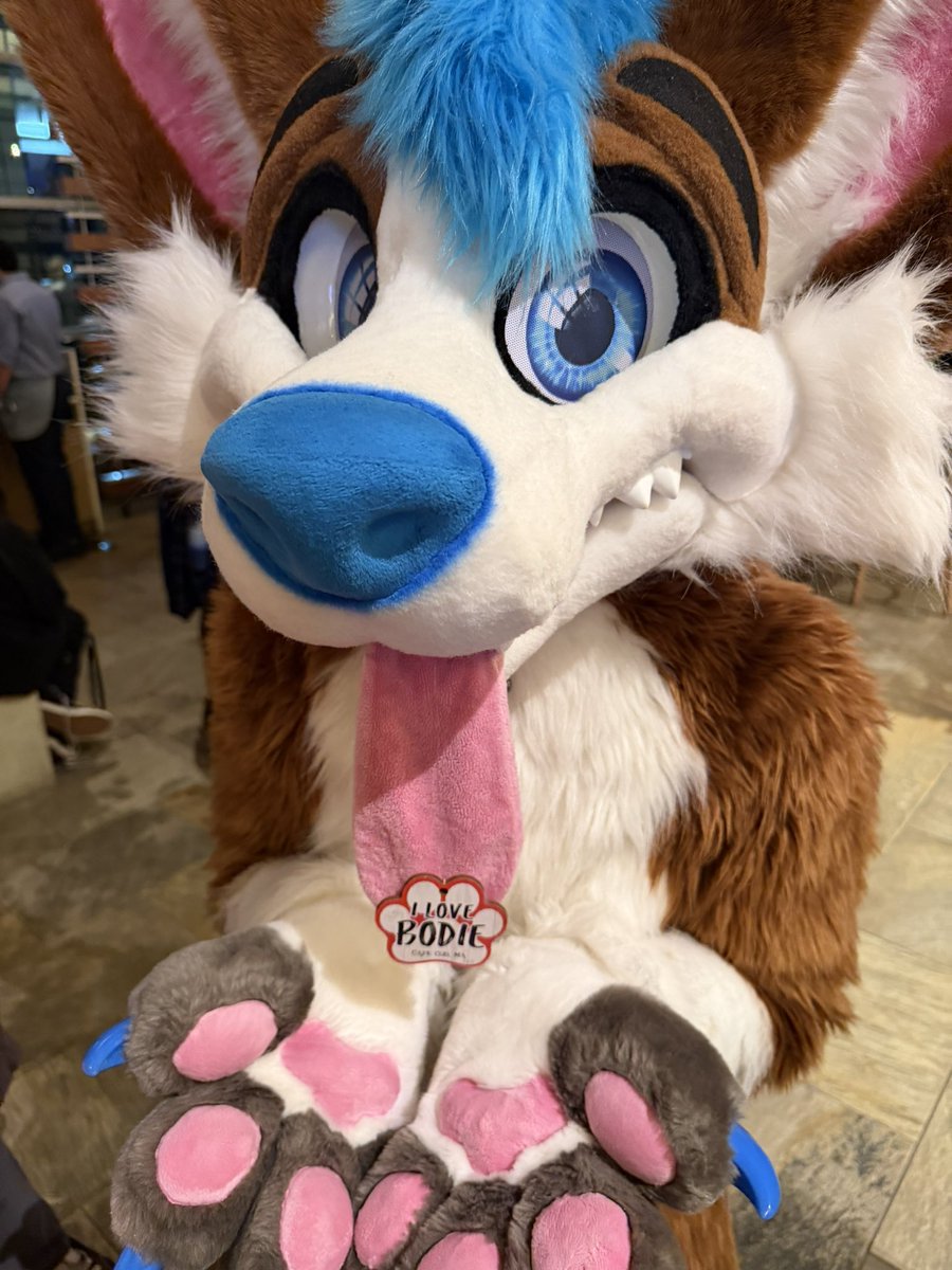 _bodieblue's tweet photo. ilovebodie

#fursuitfriday https://t.co/XQDAtSq7so