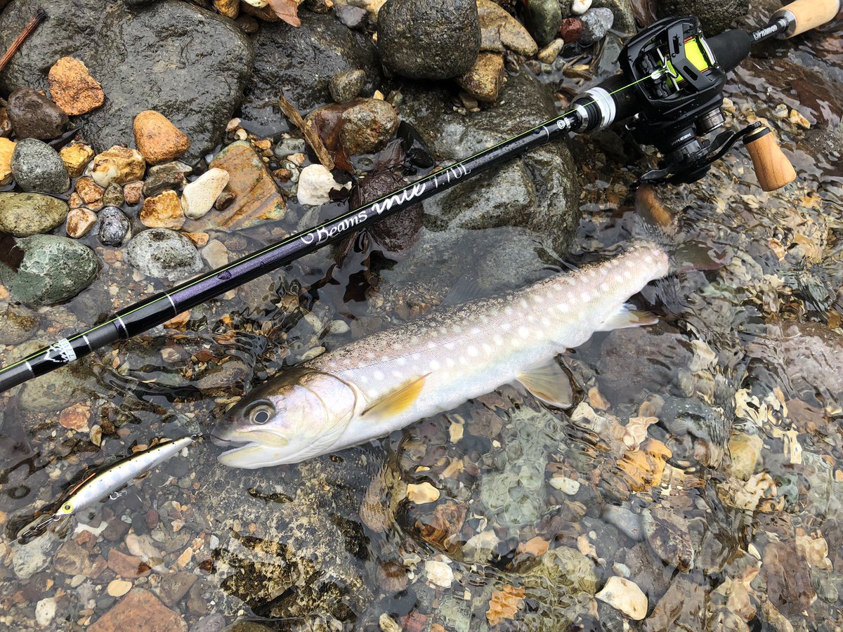 zisakukebari59's tweet photo. 家を出たけど寄り道してちょい釣り🎣川は雪代が出て良い感じだぜぇ〜✨
用事あるから10分位だけど元気なアメマスがロッドを絞り込んでくれました😆
#北海道 #釣り #渓流ベイトフィネス #Fishman #Beams #Inte77UL #NaturumLimited #スミス #パニッシュ #アメマス https://t.co/ovYEgAr9ts