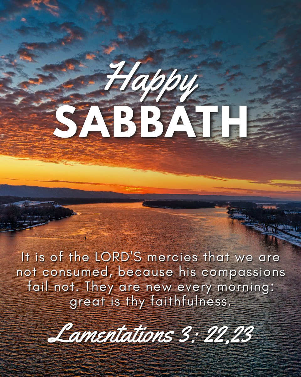 Amazing Discoveries tweet media