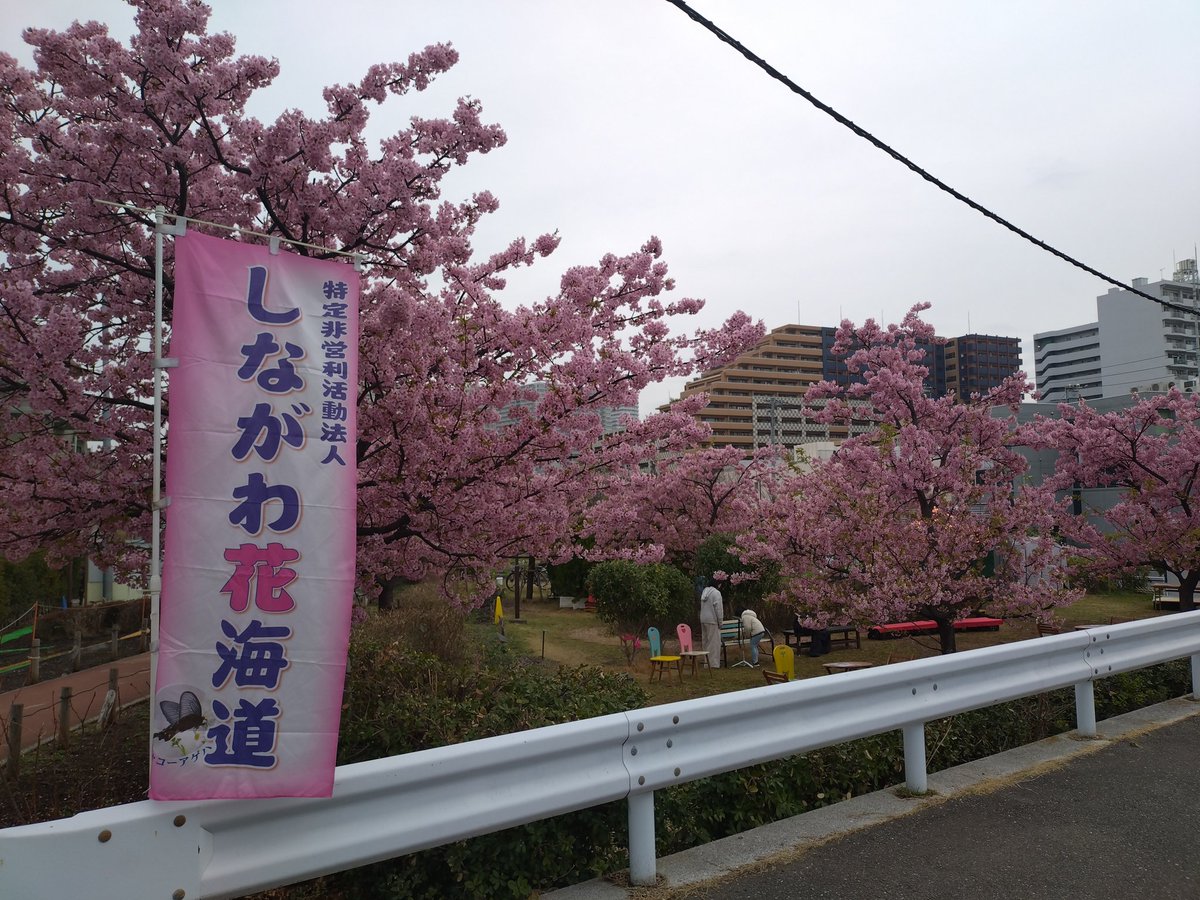 とにこさん tweet media