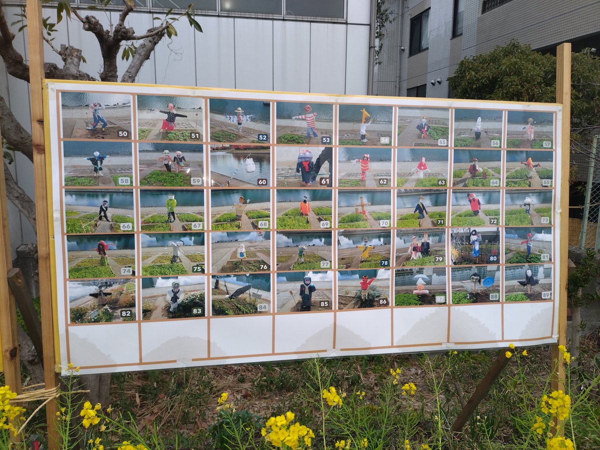 とにこさん tweet media