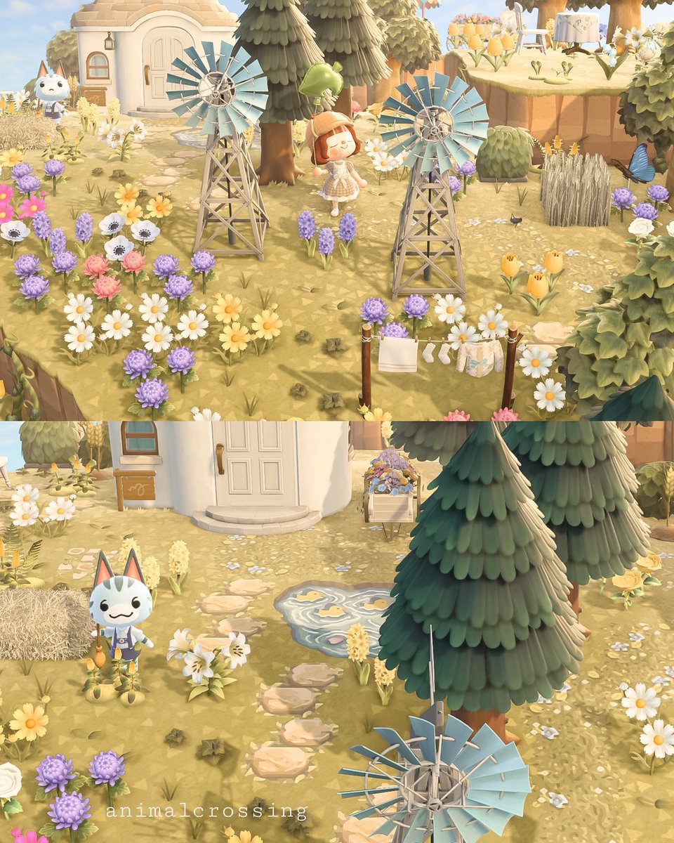 加工変えてみた⸝⸝꙳

どっちの色味がいいかなぁ？？𖤣𖤥

#ACNH #animalcrossing
#あつまれどうぶつの森