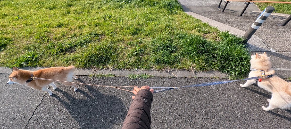 帰るvs帰らない
交渉は決裂しました