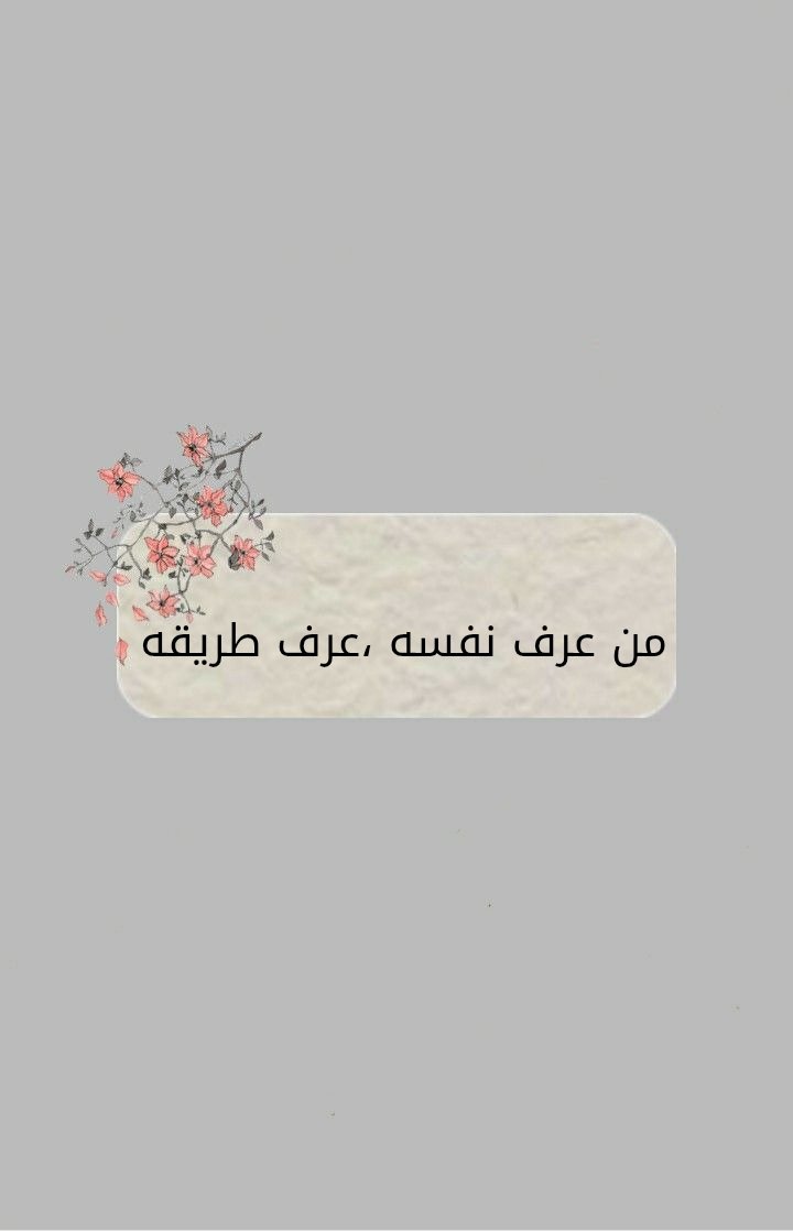 بلقيس المرهبي 🖊️ tweet media