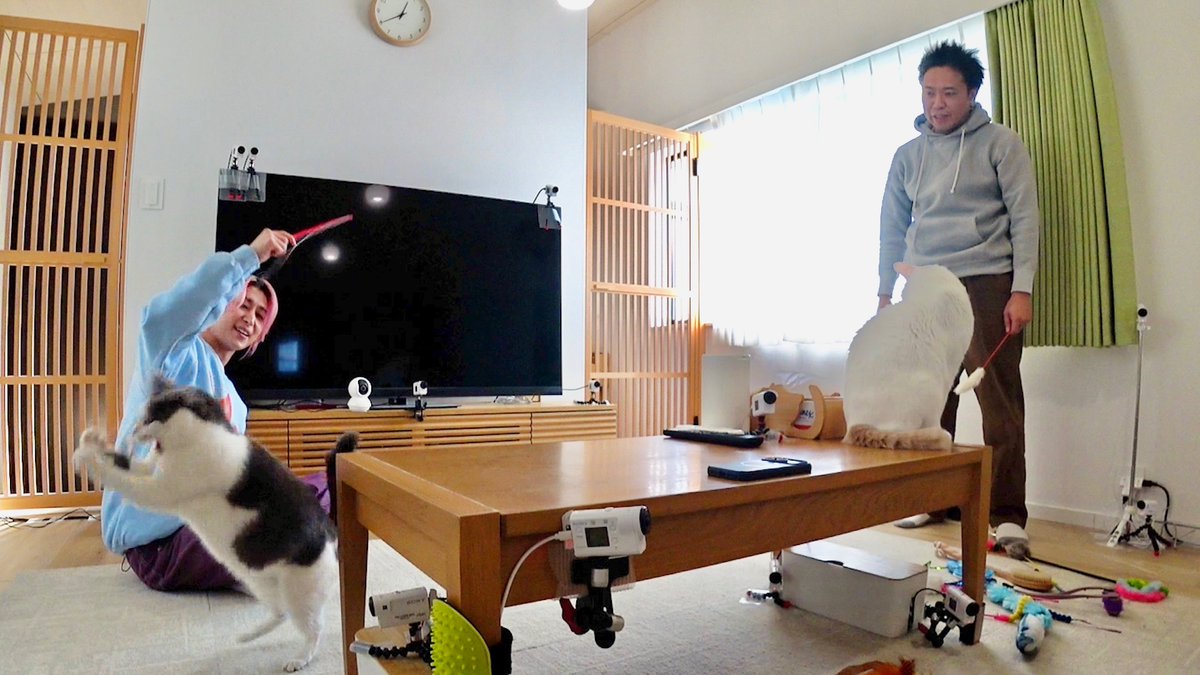 minnano_zoo_ntv's tweet photo. Snow Man 佐久間大介さんが

風ちゃん雷ちゃんのために
サンシャイン池崎家にやってきた⛄️🩷

池崎さんを師匠と仰ぐ
芸能界きっての猫大好き兄さん

カリスマックス😎なふれあいを
してくださっています！

今夜7時からの
#嗚呼みんなの動物園 2時間SPで
ぜひご覧ください✨️

嬉しいご報告も！ https://t.co/FQINRho4dr