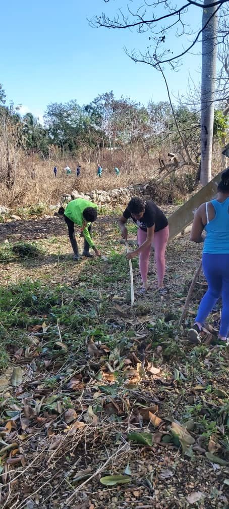 José Benito de Armas Rodríguez tweet media