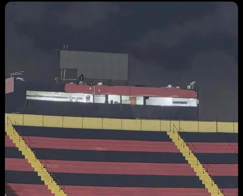 Pedro Mota tweet media