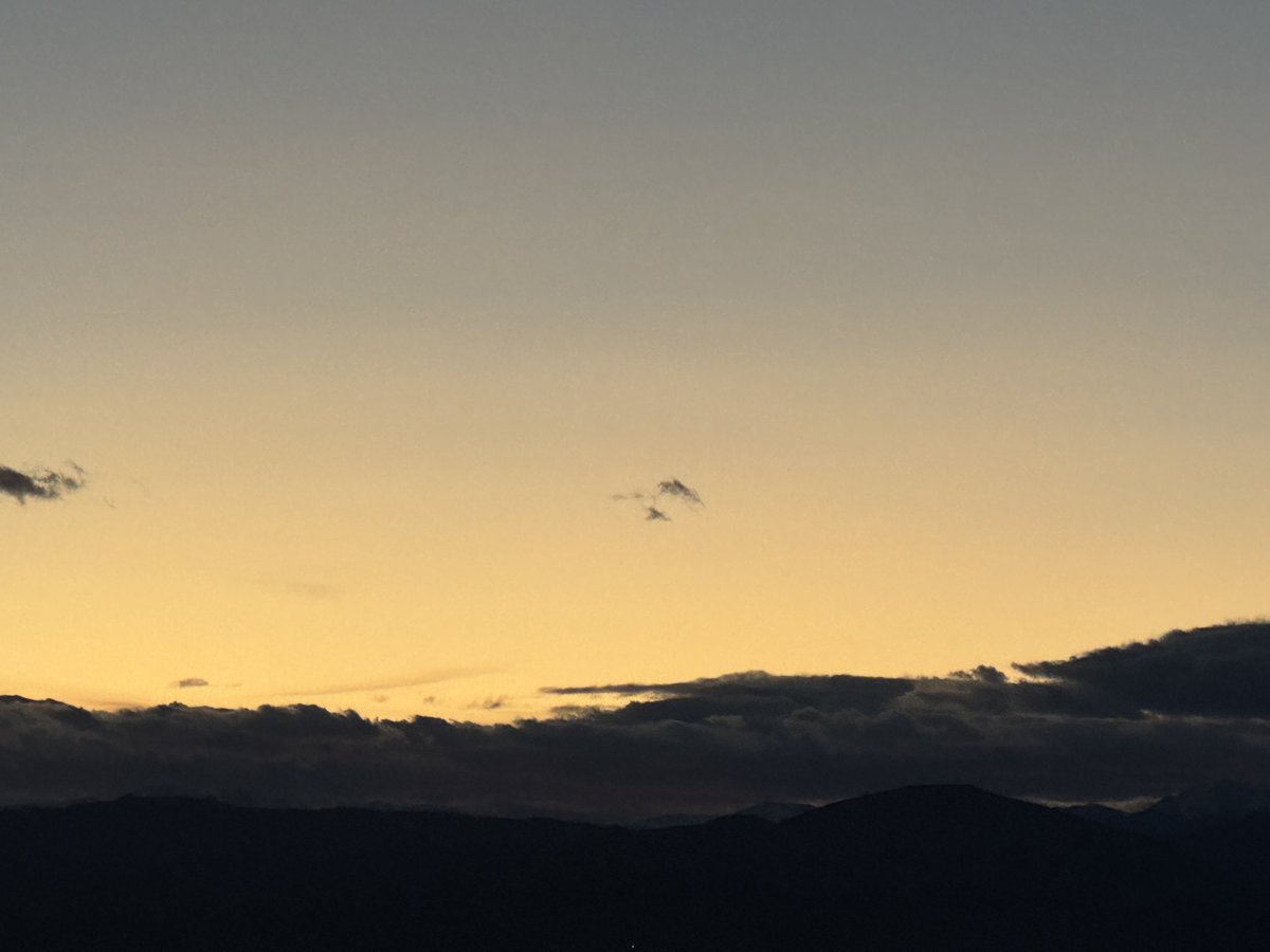 brian herring tweet media