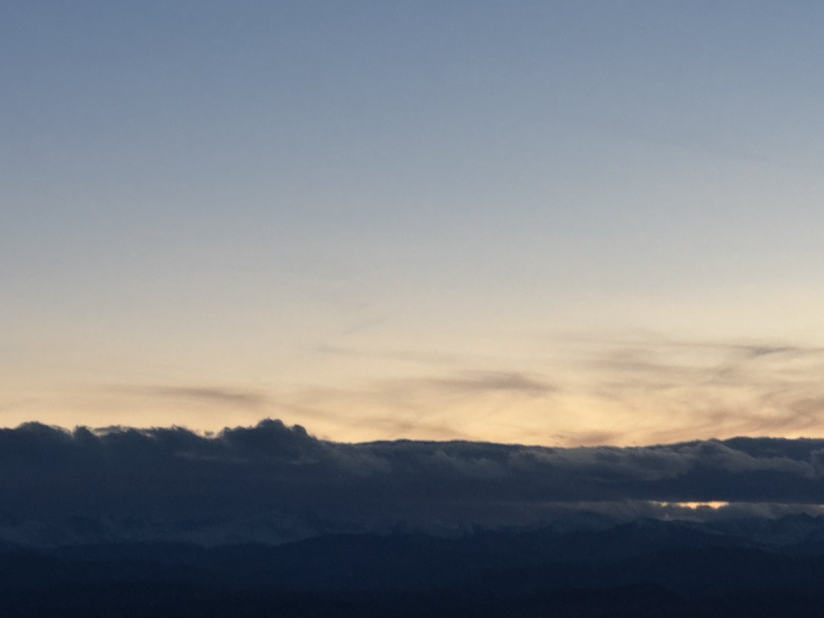 brian herring tweet media