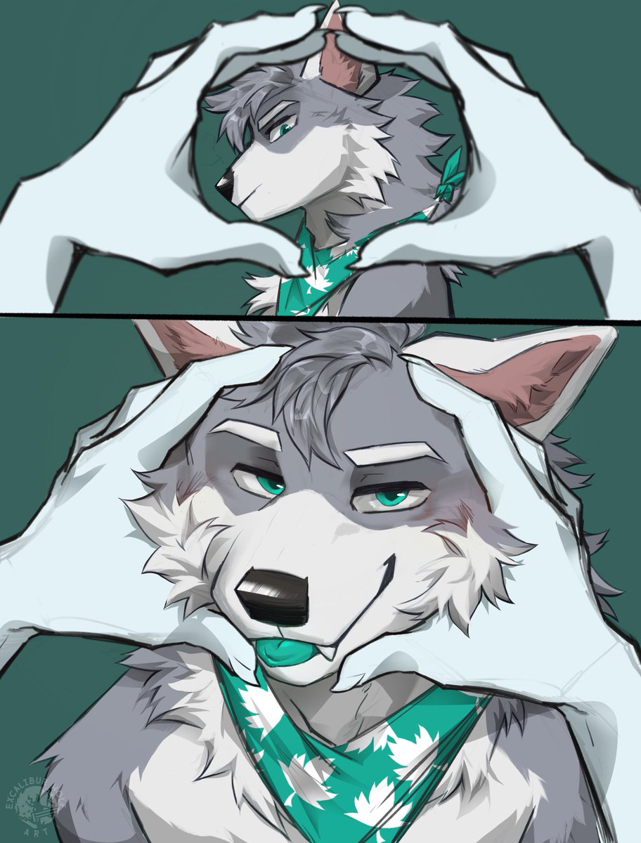HoshiKurama's tweet photo. WOLF TIP: If your friends make a circle with their paws, you’re legally and morally obligated to put your snout through it.

🎨: @/_ExcaliburWolf https://t.co/2ULtUUkETm