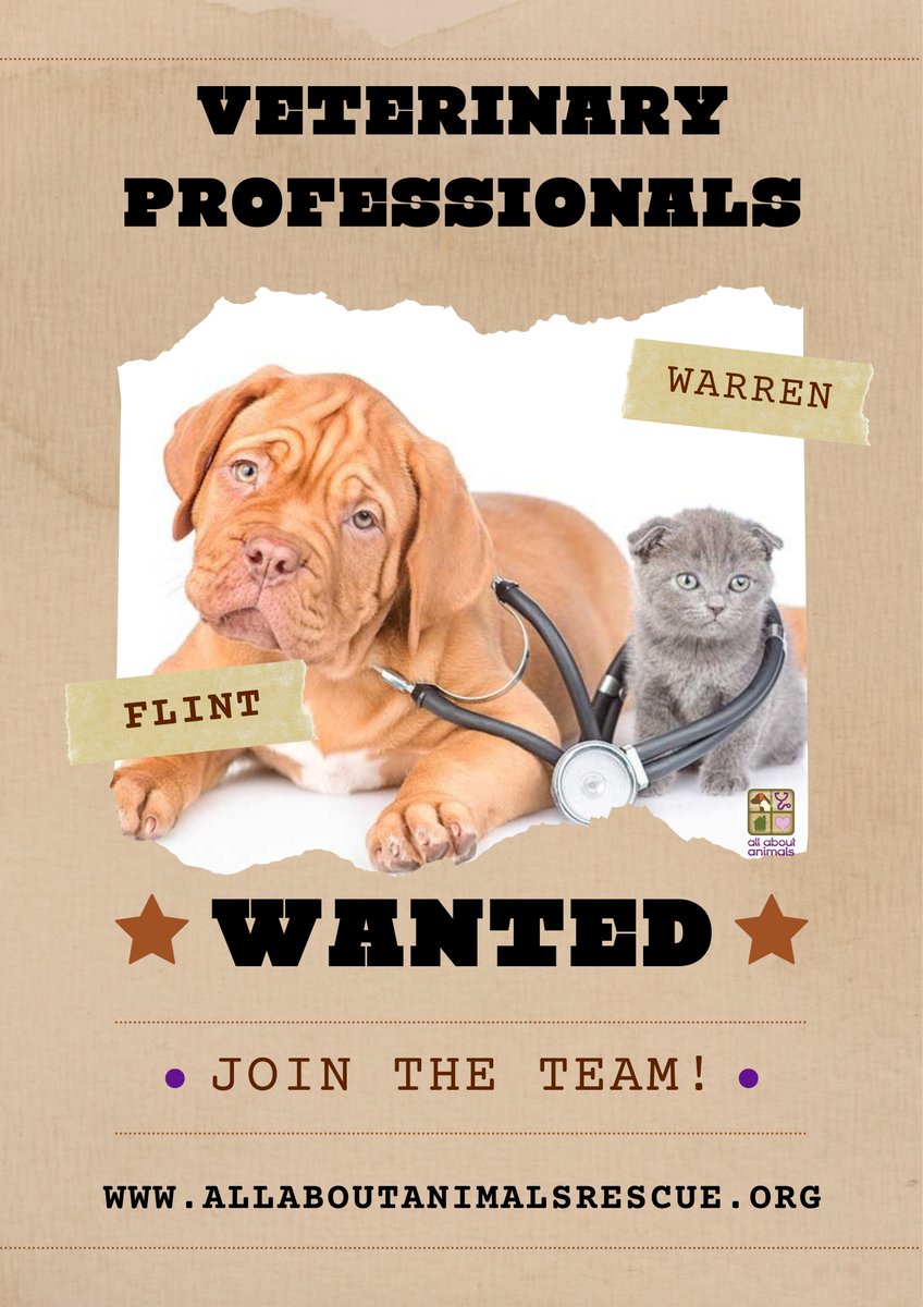 All About Animals tweet media