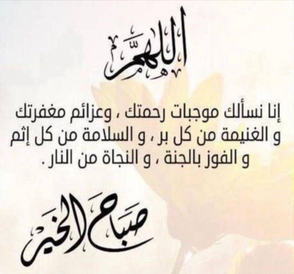 آمير 💫✨ tweet media