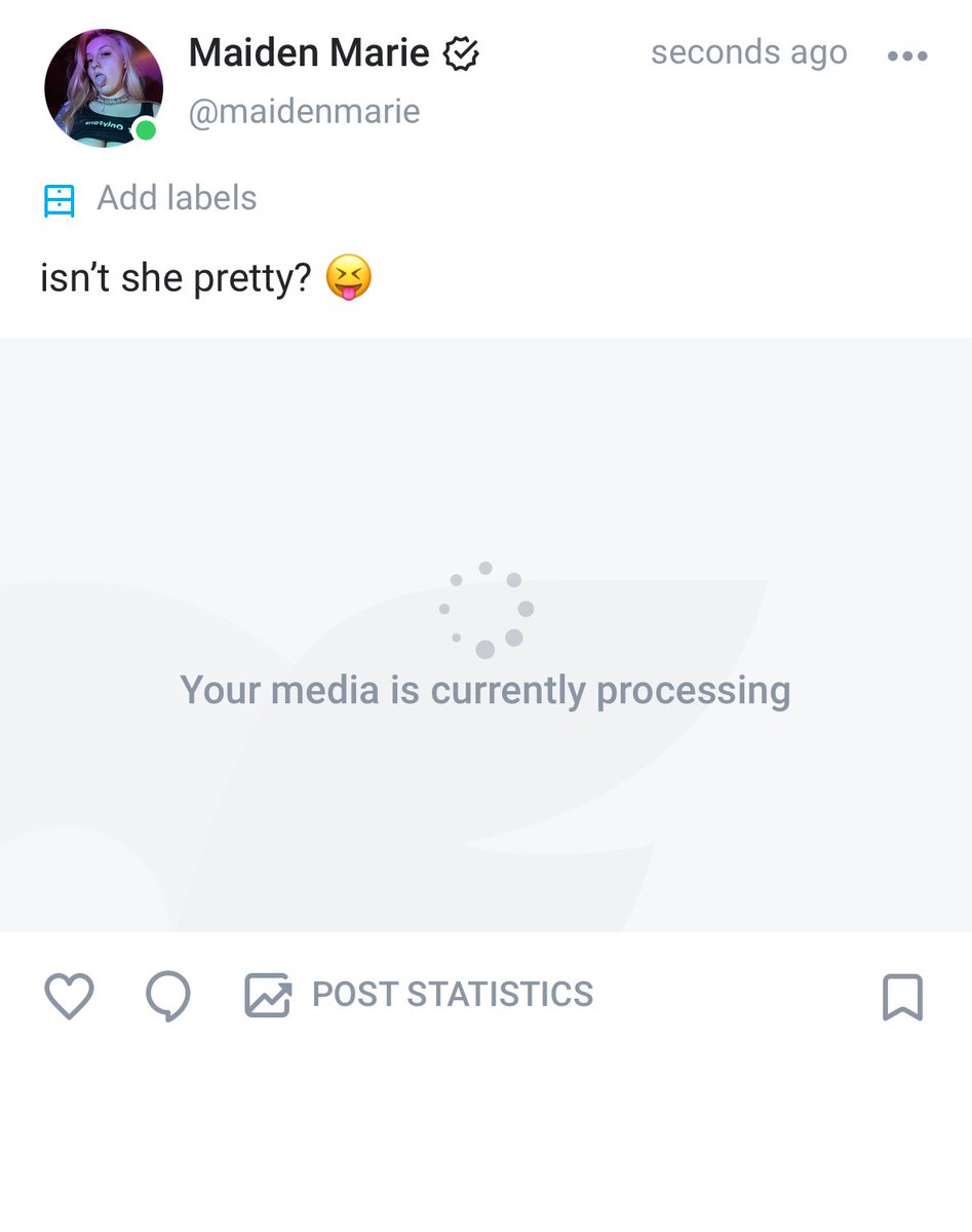 Hailey Marie tweet media