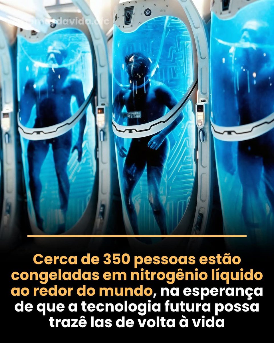 Paulo de Tarso tweet media