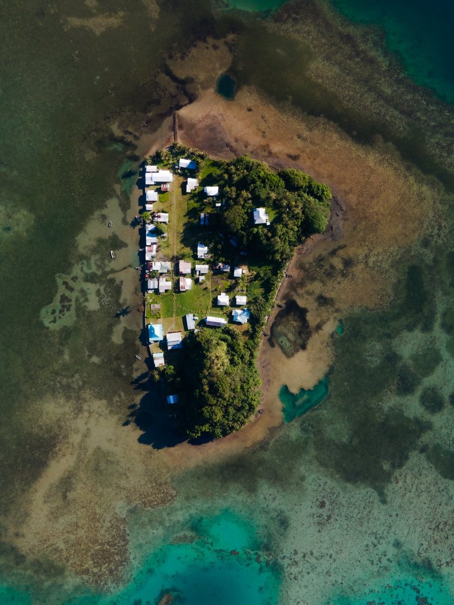 Luke Gordon tweet media