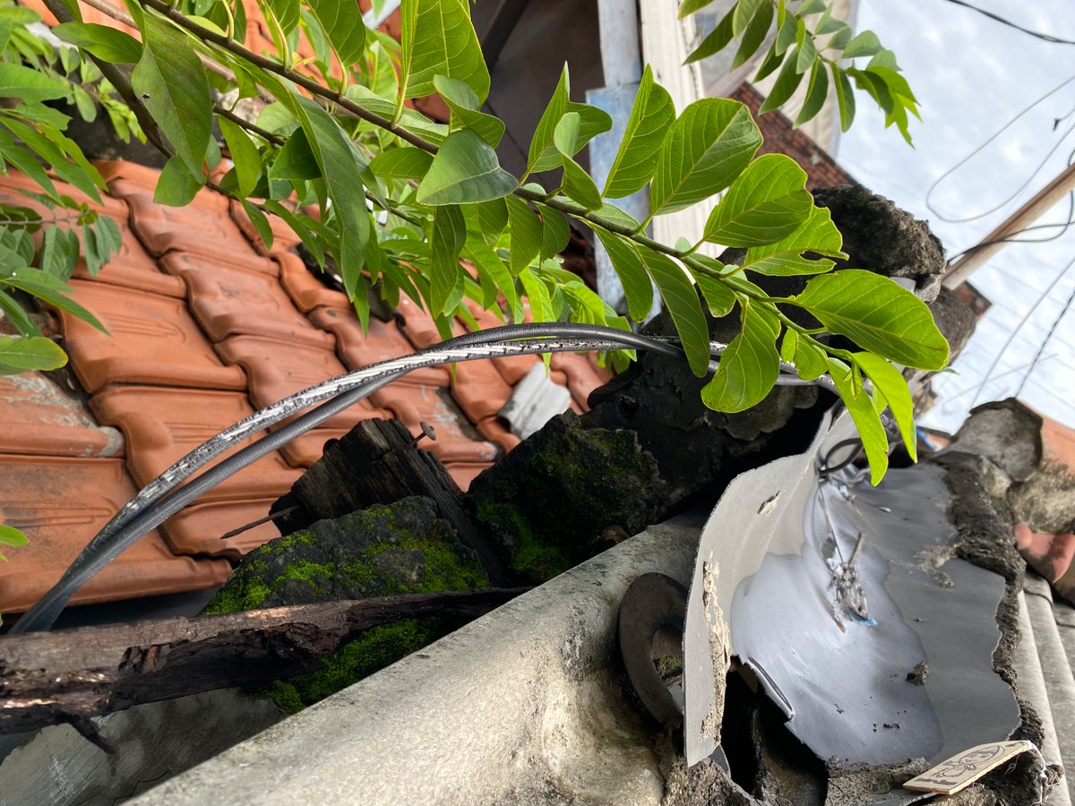 dradnaksi's tweet photo. Selamat pagi PLN @pln_123 

Kabel PLN di atap rumah saya terkelupas karena umur. Mohon diganti yah sebelum membahayakan. Foto saya sertakan.

Untuk info ID PLN saya DM yah https://t.co/q6TI6IDYW9