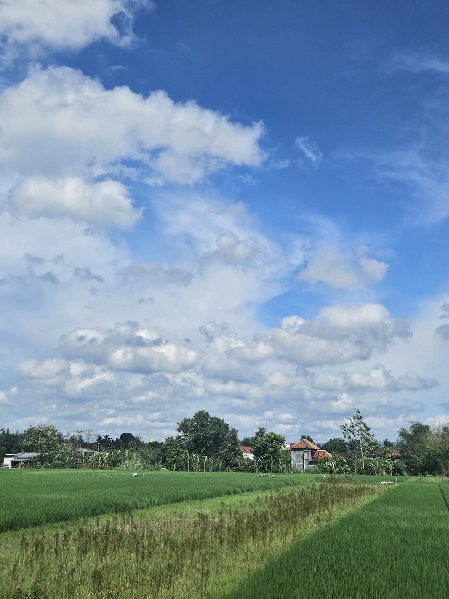 RVS Studying Arc tweet media