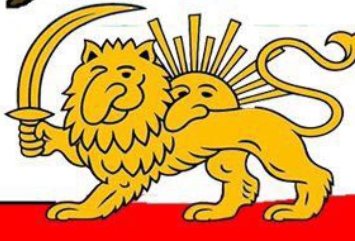 Anvari_mhmd tweet media