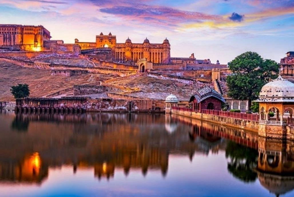 चिड़ी-कमेड़ी tweet media