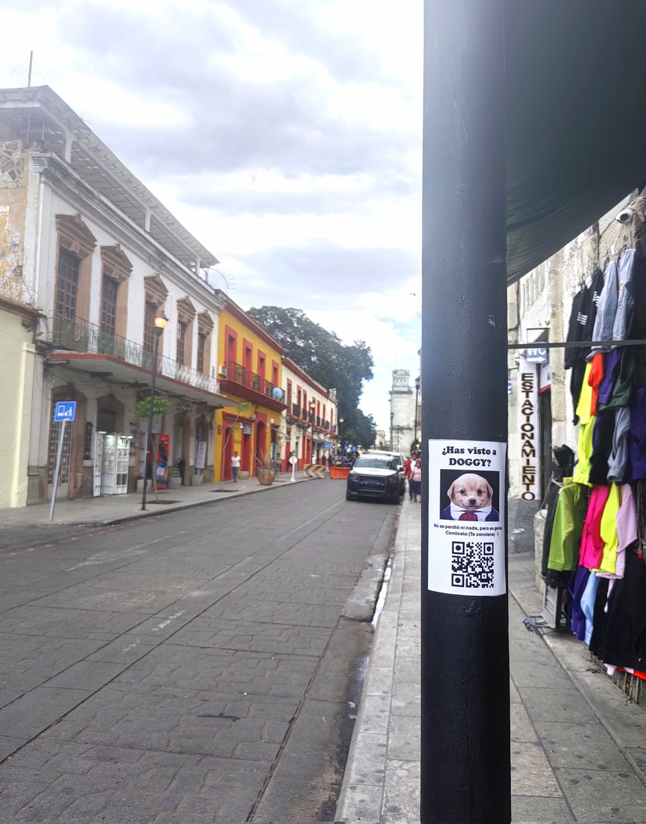 esteban_za8244's tweet photo. Es sábado por la tarde, acabas de salir del jale y de cobrar tu semana, vas rumbo a casa y pasas por una calle; cerca del zócalo de Oaxaca. De pronto vez un sticker qué dice: ¿Has visto a $DOGGY? Te acercas y te parece curioso! Lo escaneas....
(continúa en el primer comentario) https://t.co/TY3AX3AYSS