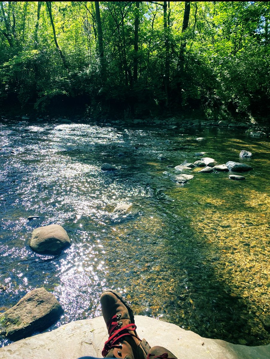 spookyᚦ tweet media