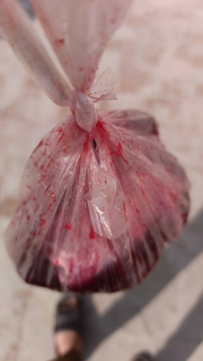 GOOD MORNING🥱

DEAR X MATE'S 🥰