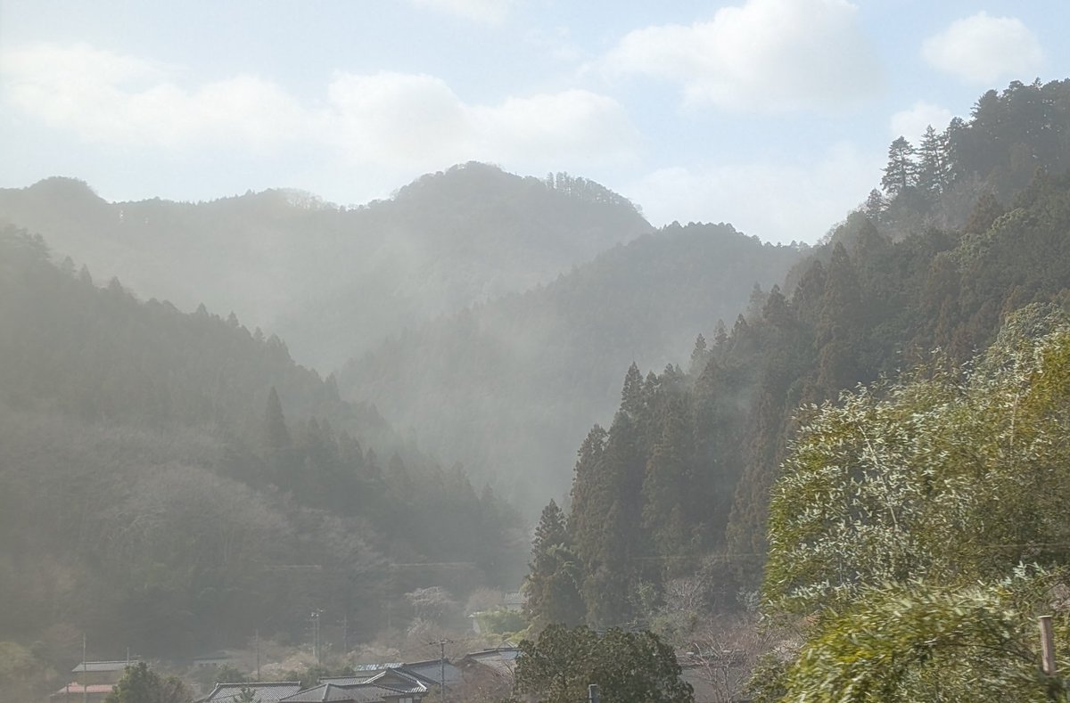 逆黄電力 tweet media