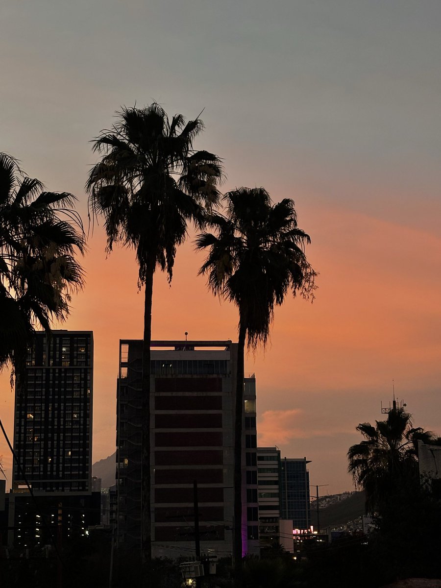 Amo los sunsets >>>>