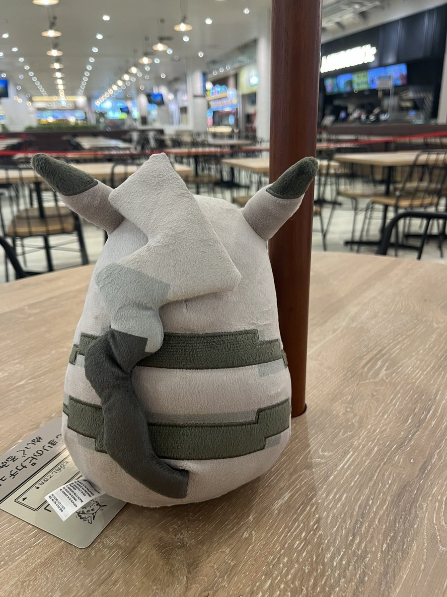 はじまりのピカチュウ、無事に買えました！ありがとうございます