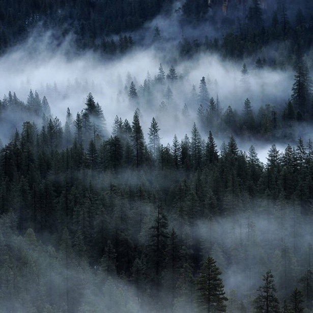 Again and again 
however we know the landscape of love…
the two of us walk out together 
under a row of ancient trees~

R M Rilke

Pierre Pellegrini