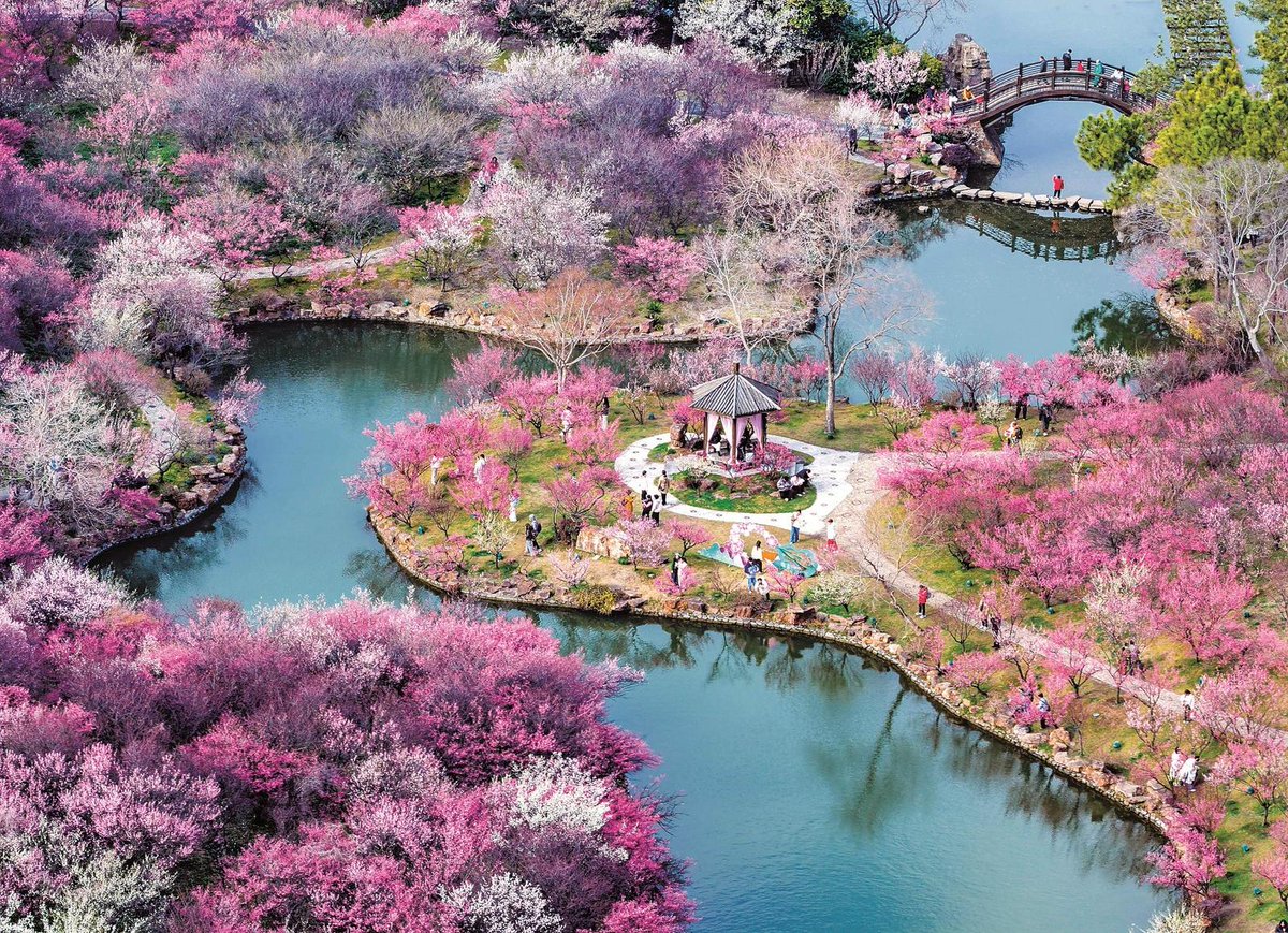 InJiaojiang's tweet image. With spring in full bloom, it's the perfect time to explore and enjoy the views. Bring your good vibes and discover the beauty of spring! #SpringHasArrived #ExploreNature #NatureLovers 🌼🌳