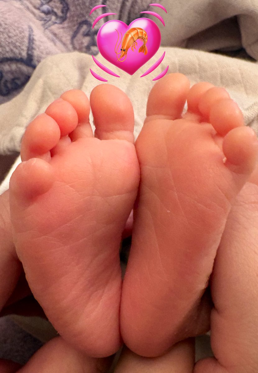 ejvsg's tweet photo. 〜報告〜
2026.02.18👶🌸
無事に元気な女の子を出産しました🎁🐣

母になって10日経った��ど時間が経つのが早すぎる💨

分娩時間:29時間50分⏰
一緒に頑張ってくれた我が子と周りの人に感謝🥲

これから嬉しい忙しさに追われるのが楽しみ😌❤️‍🔥 https://t.co/Ap8jBIjI6p