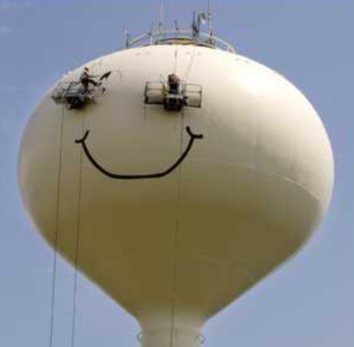 Dusty Bumps (@dusty_bumps) on Twitter photo 