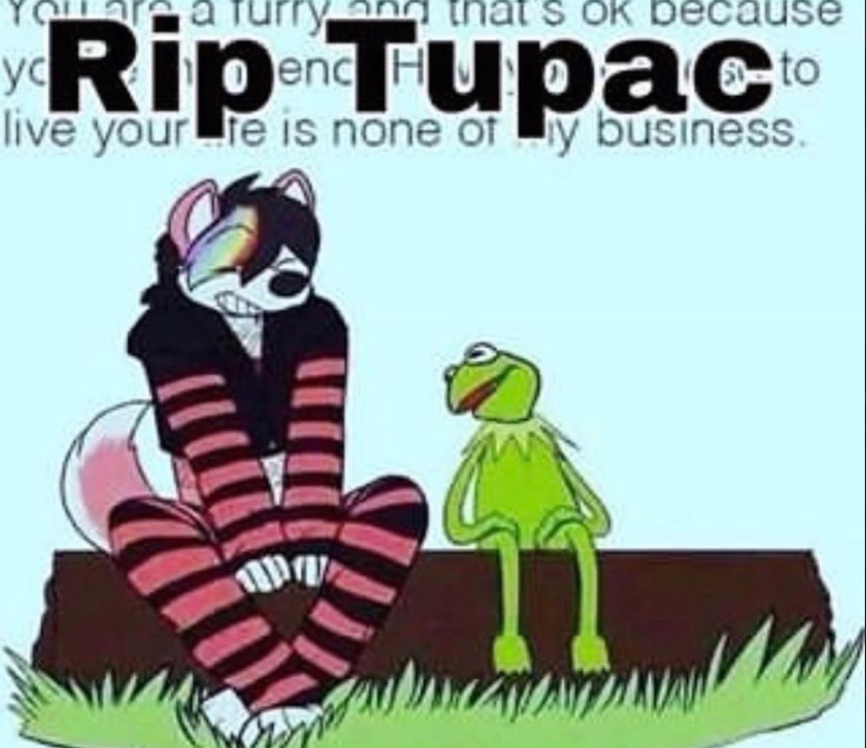 xavier luxembourg rotation parody tweet media