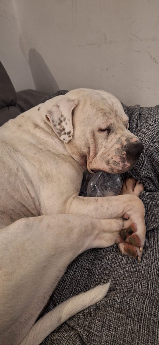 claudia 🥀 tweet media